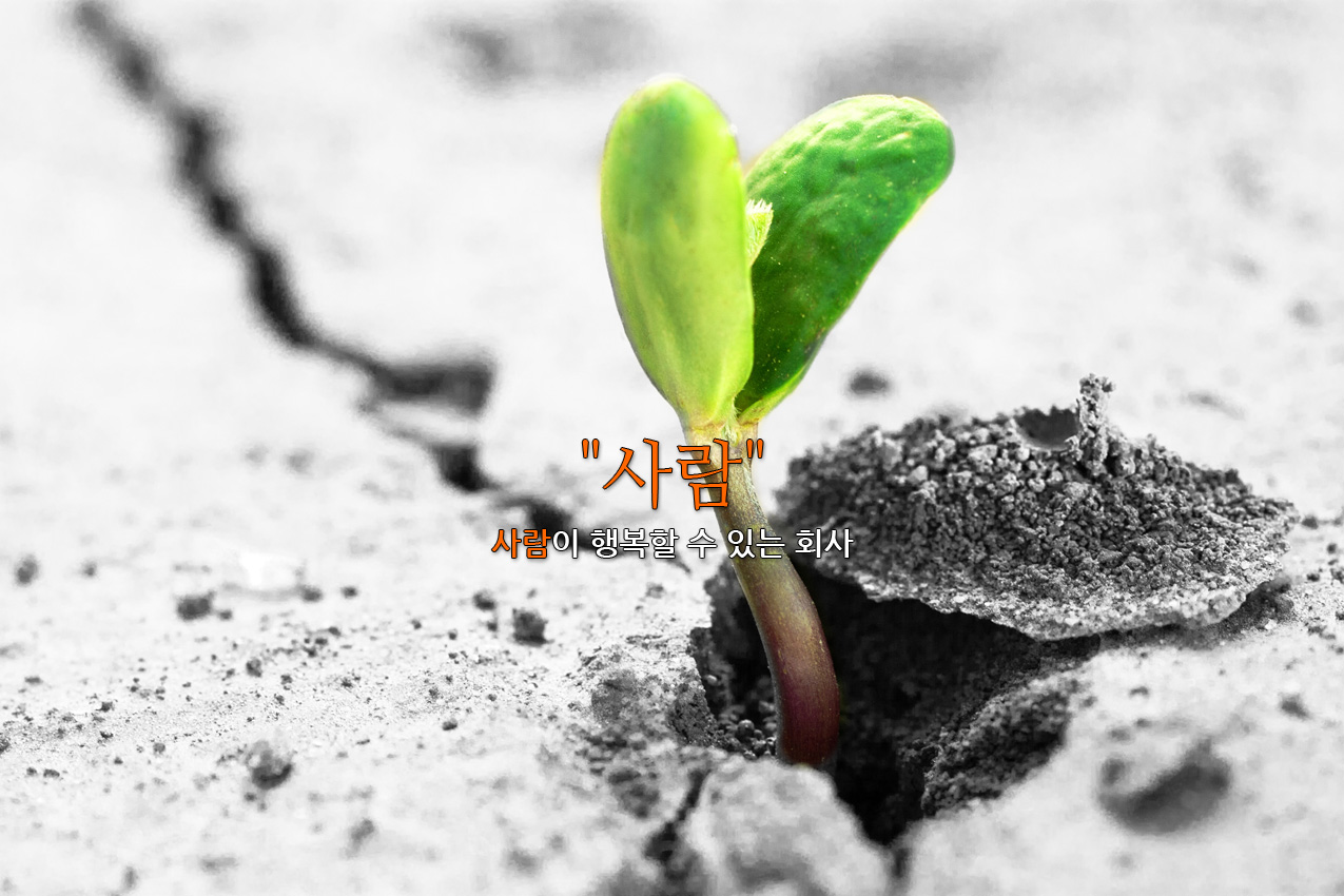 홈페이지 오픈 되어 안내 드립니다.